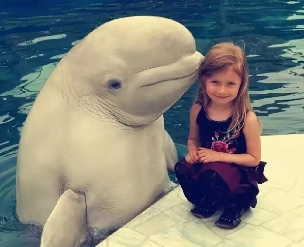 藍莓果學前班加盟：孩子明明很優秀卻不自信，其中的原因你知道嗎？